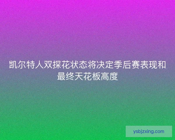 凯尔特人双探花状态将决定季后赛表现和最终天花板高度