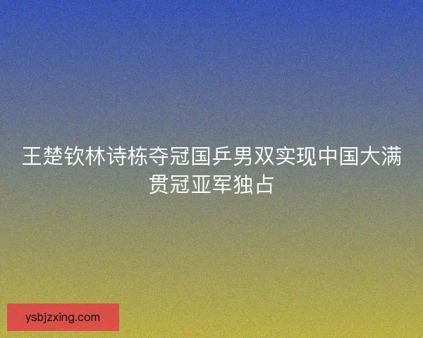 王楚钦林诗栋夺冠国乒男双实现中国大满贯冠亚军独占